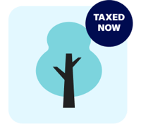 A tree with a taxed now label