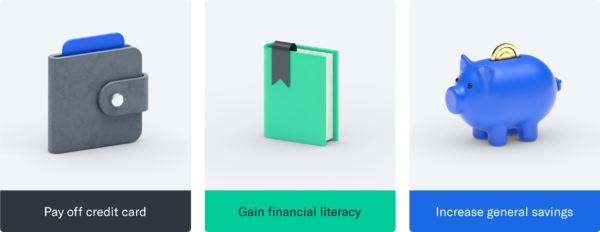 Three images, from left to right: A grey wallet with a blue card inside, underneath reads "pay off credit card." A green book with a black bookmark, underneath reads "gain financial literacy." A blue piggy bank with a gold coin by the slot, underneath. reads "increase general savings"