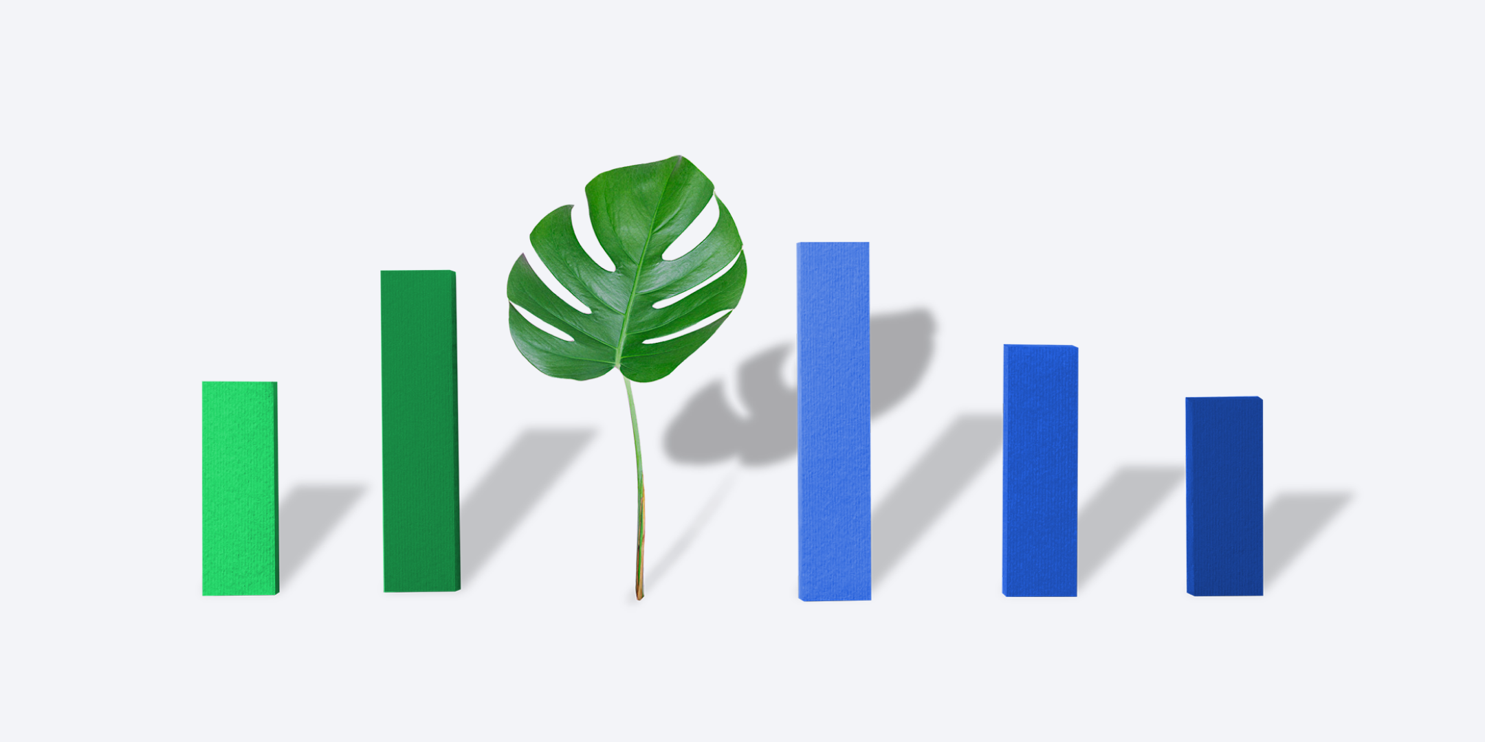 An illustration of a bar graph using a monstera leaf as one of the bars.